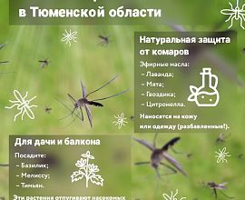 Как защититься от комаров?